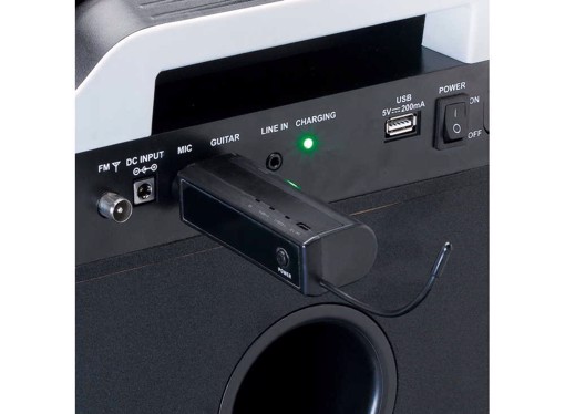Lenco Ασύρματο Μικρόφωνο με Wireless Receiver MCW-020BK - σετ 2 μικροφώνων